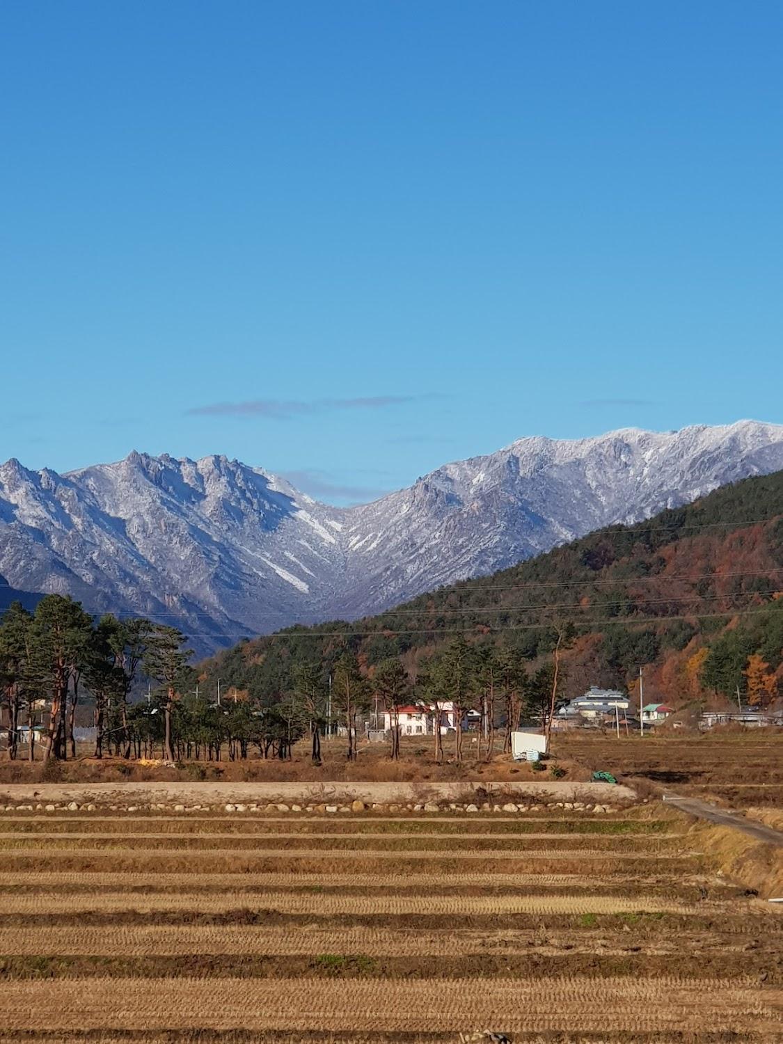 Cover Image for 설악하늘펜션