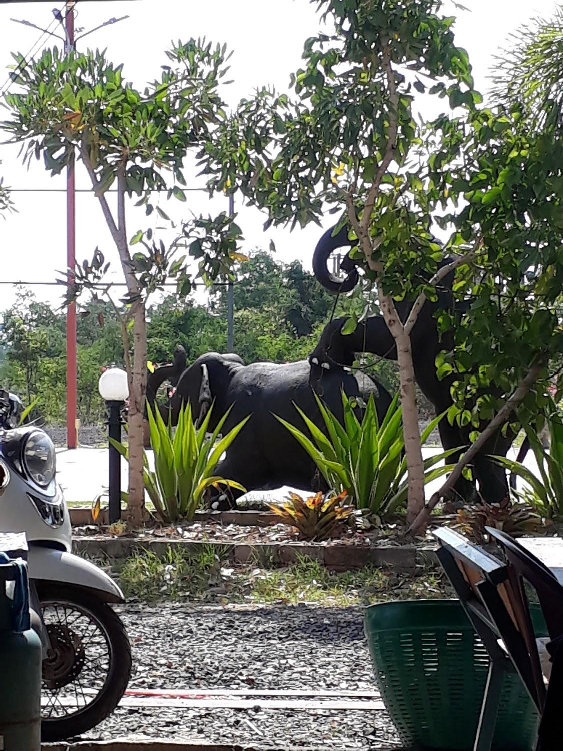 Cover Image for ไม้แก้วรีสอร์ท