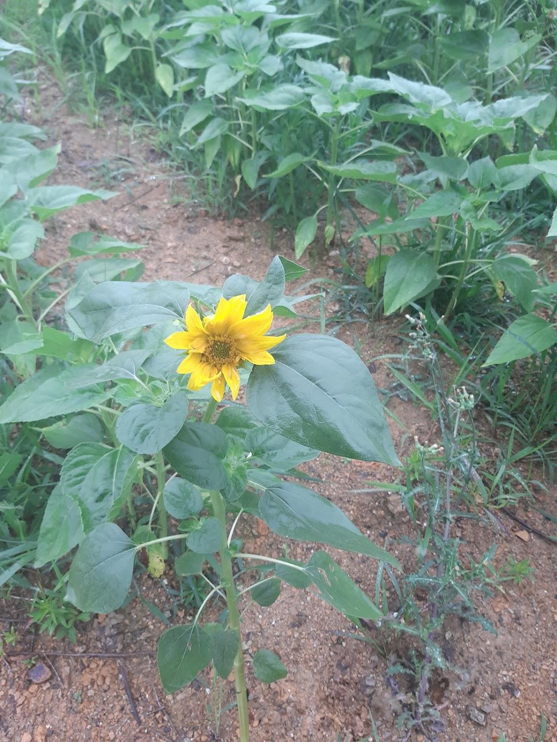 Cover Image for 일상의 작은변화