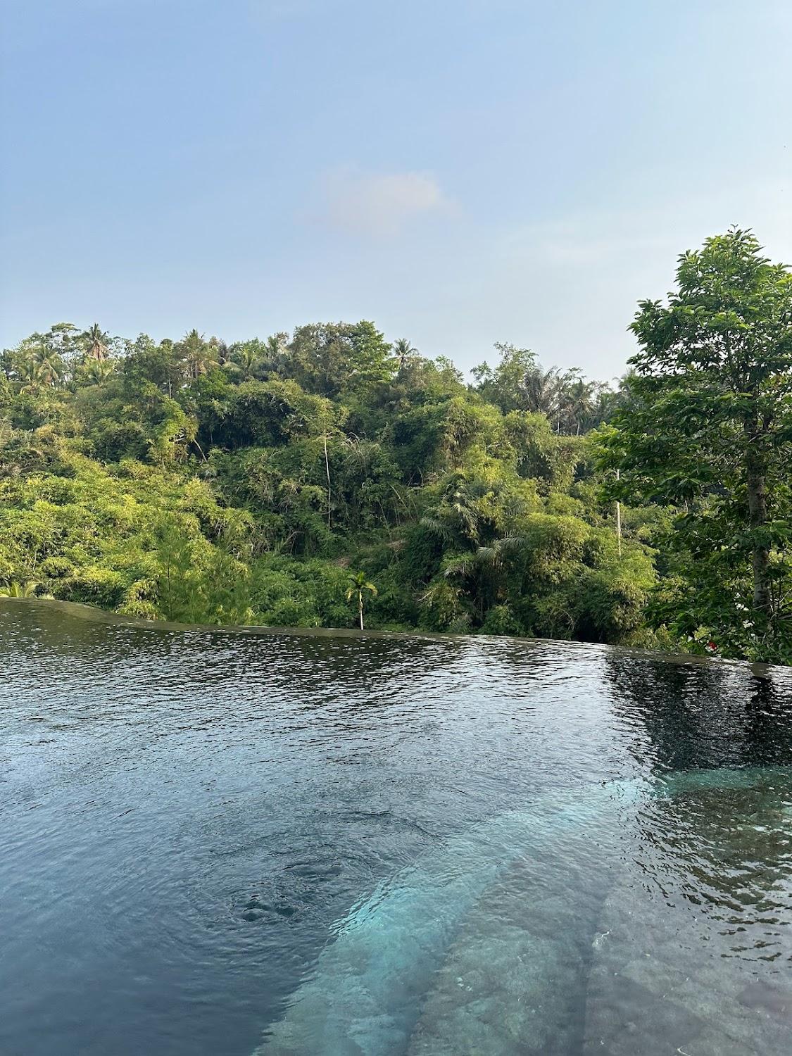 Cover Image for Tirta sari