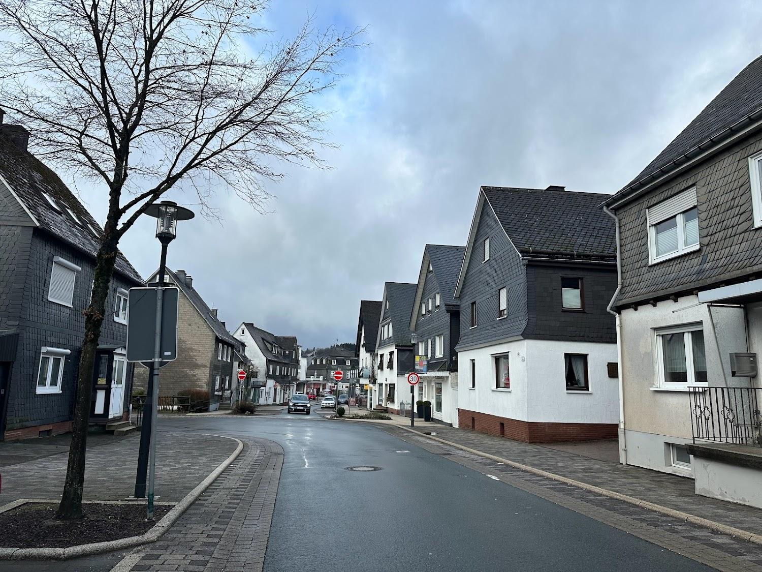 Cover Image for 59955 WINTERBERG