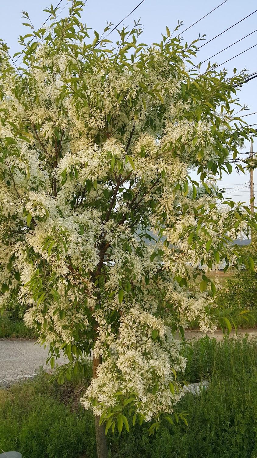 Cover Image for 대원모텔