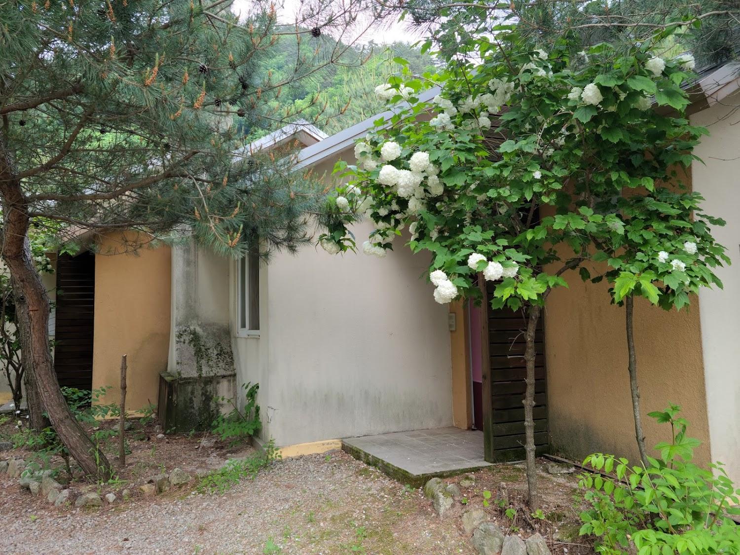 Cover Image for 해미레
