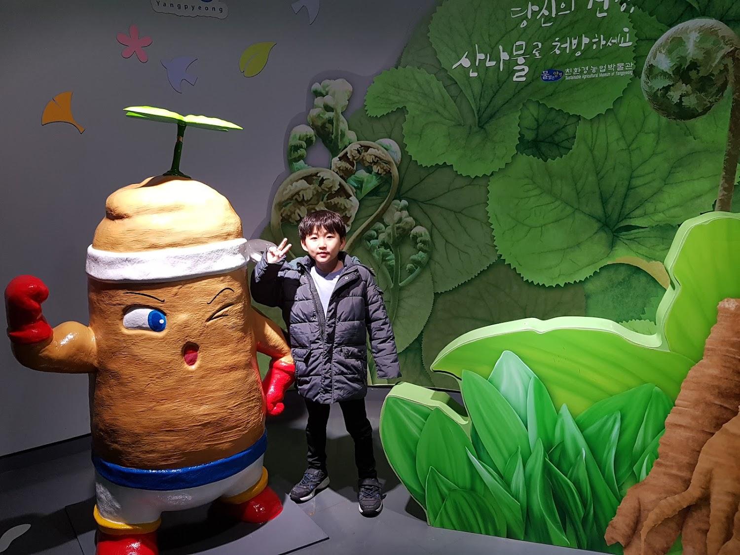 Cover Image for 가시버시펜션