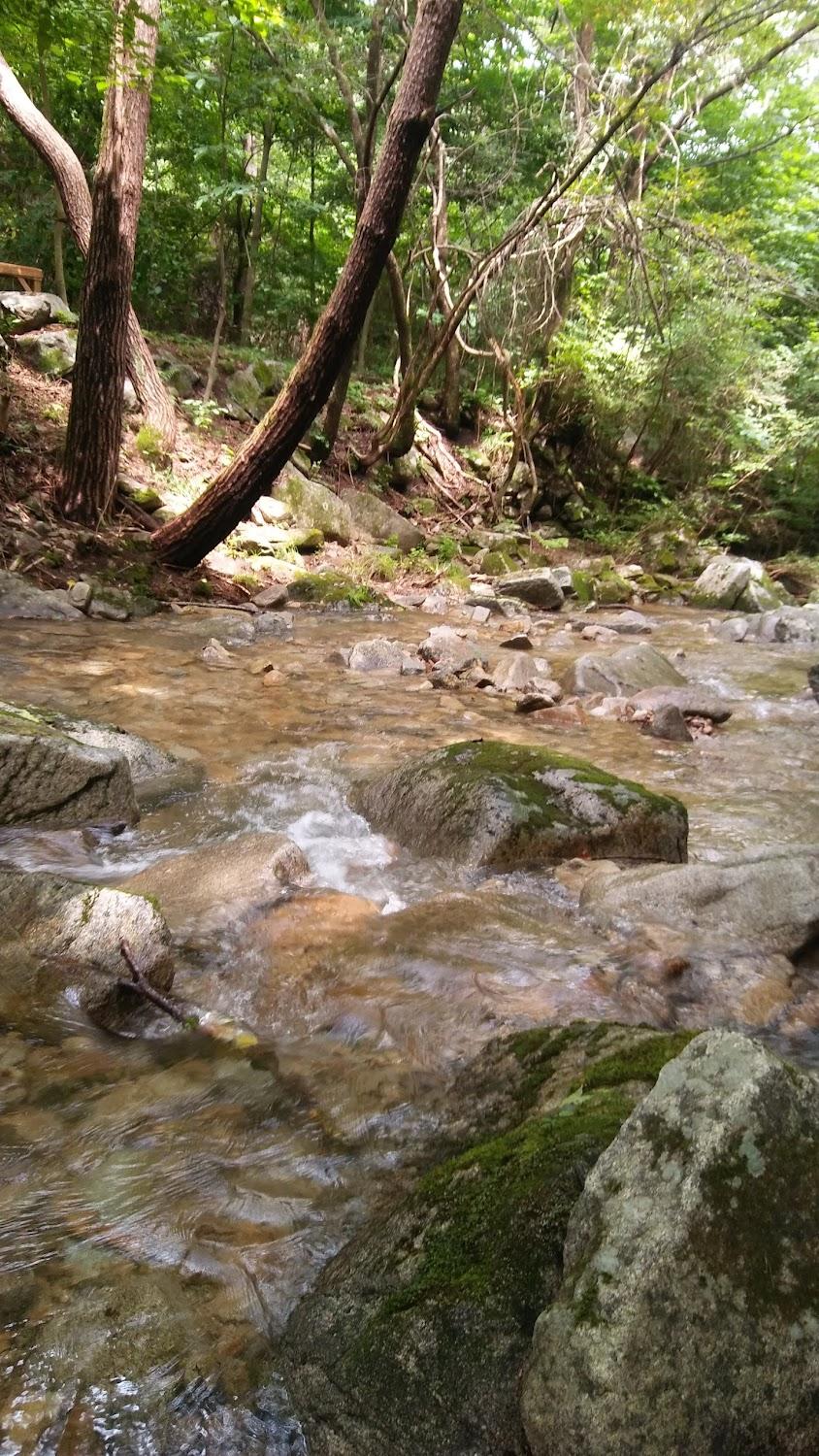 Cover Image for 인제관광농원