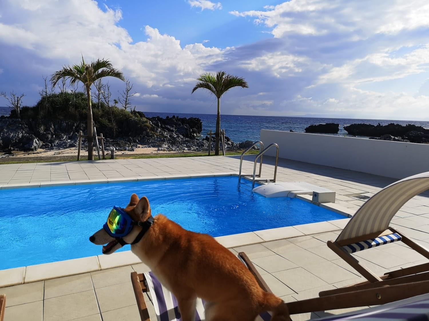 Cover Image for Thalassa Beach and Pool Villa(タラッサ ビーチアンドプールヴィラ)