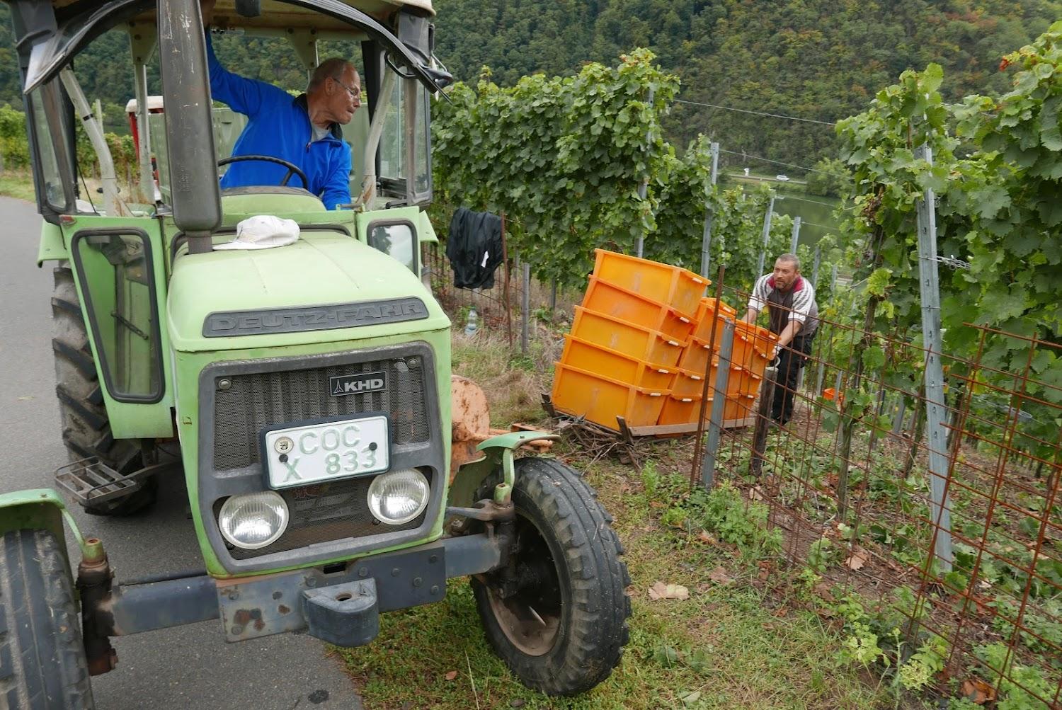 Cover Image for Weingut Clemens