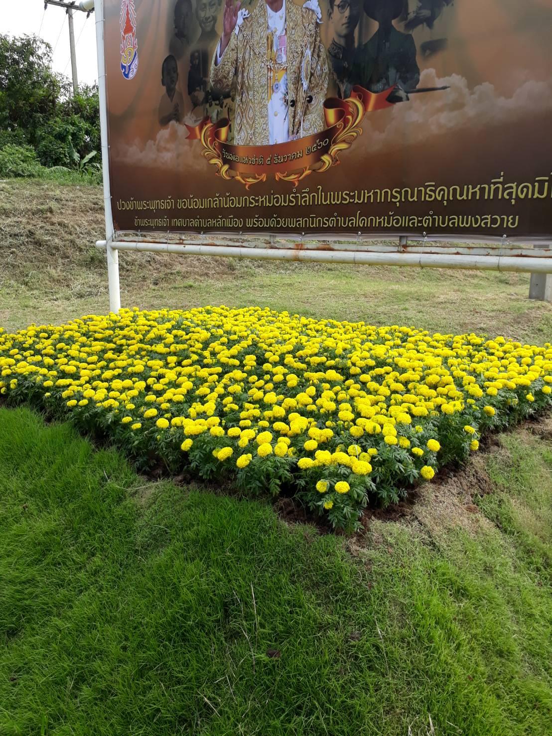 Cover Image for โรงแรมชรินทรัพย์ อินท์