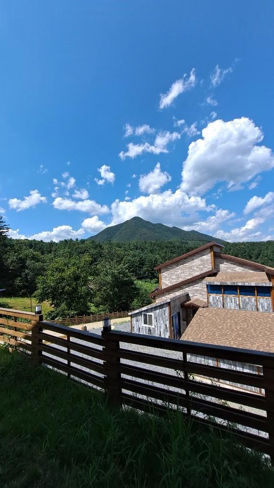 Cover Image for 파인피노 풀빌라펜션