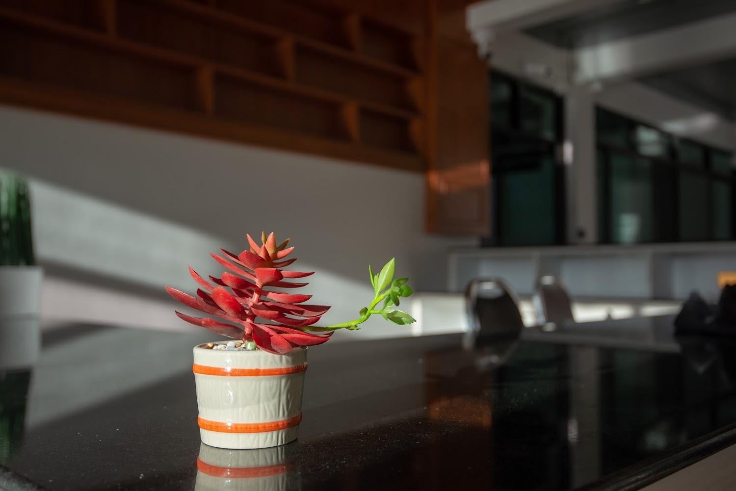 Cover Image for J2 Residence Chiang Rai