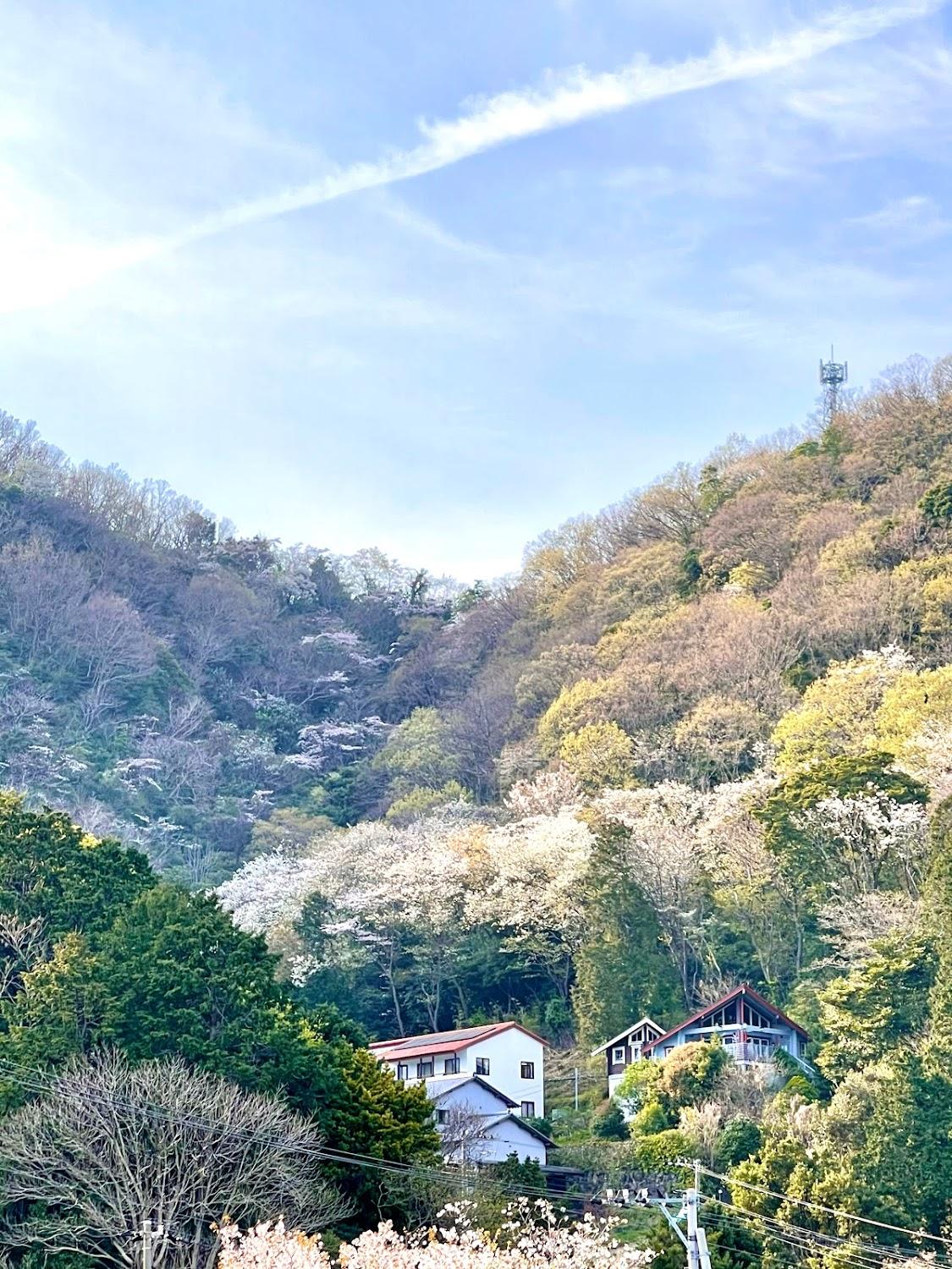 Cover Image for ペンション日下部