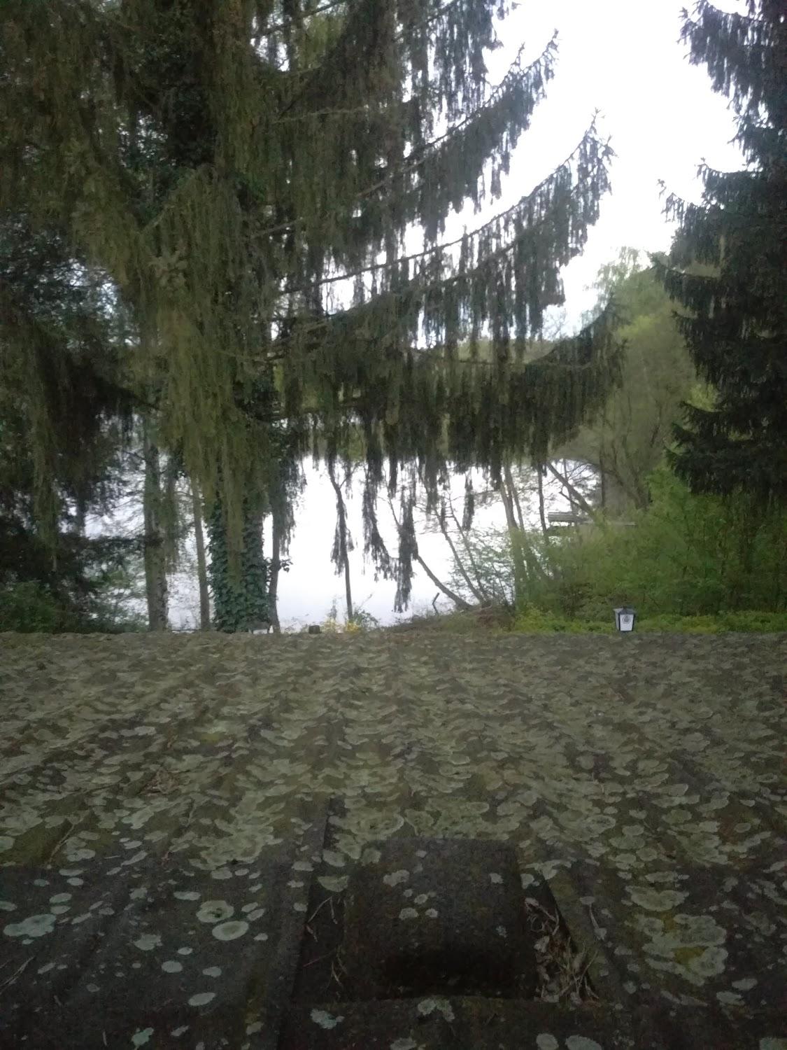 Cover Image for Am Wukensee