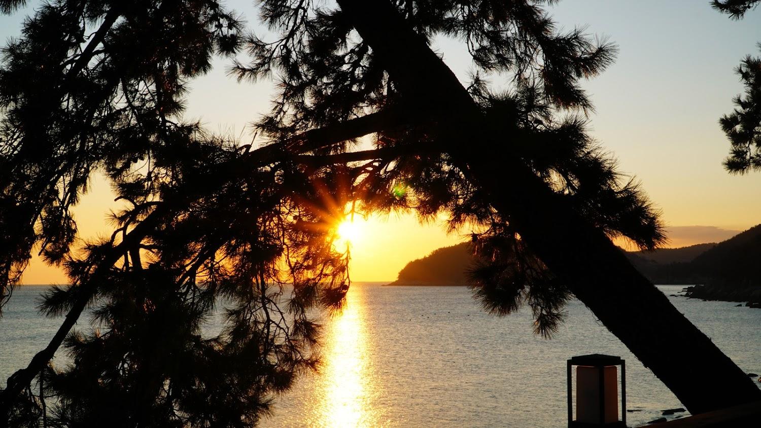 Cover Image for 몽돌이야기민박
