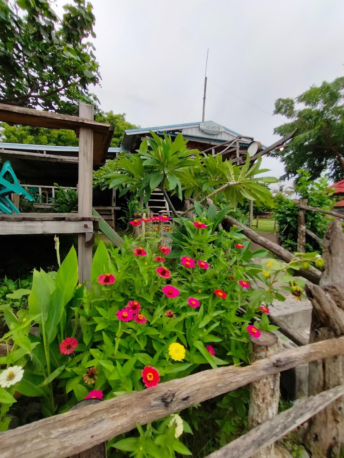 Cover Image for Vivian’s Lakey Peak Home Stay