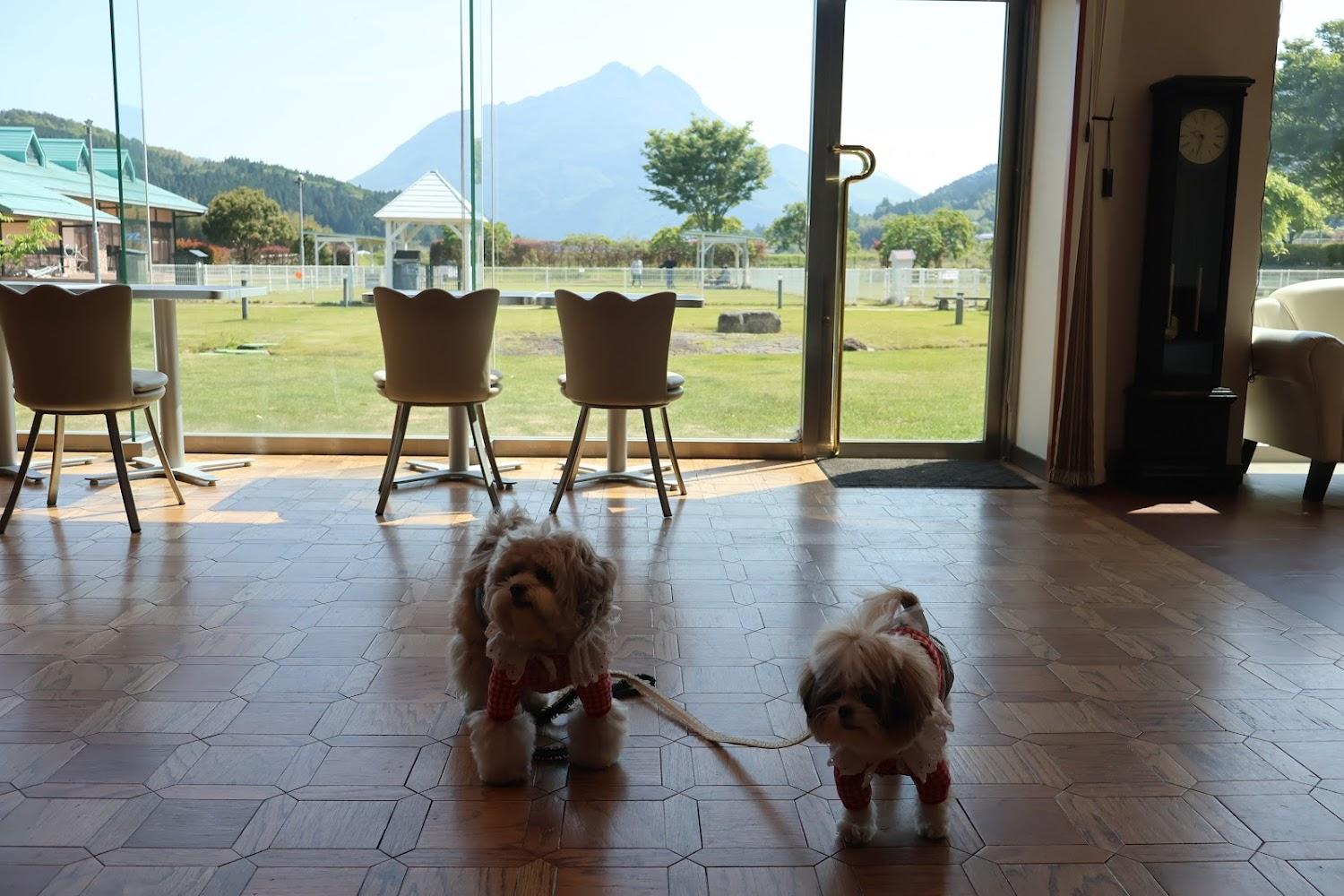 Cover Image for Yufuin Garden Hotel