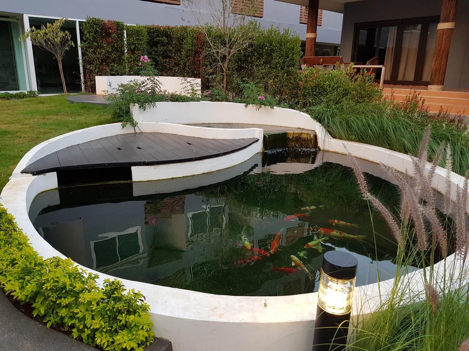 Cover Image for ROMA Hotel And Restaurant