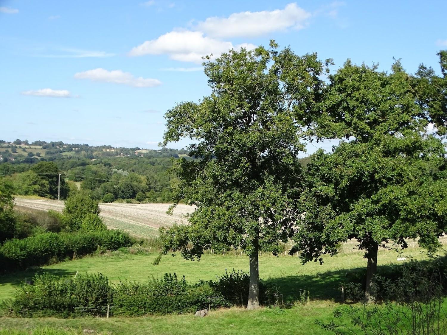 Cover Image for Bedgebury Bed & Breakfast - Three Chimneys Farm - Jane