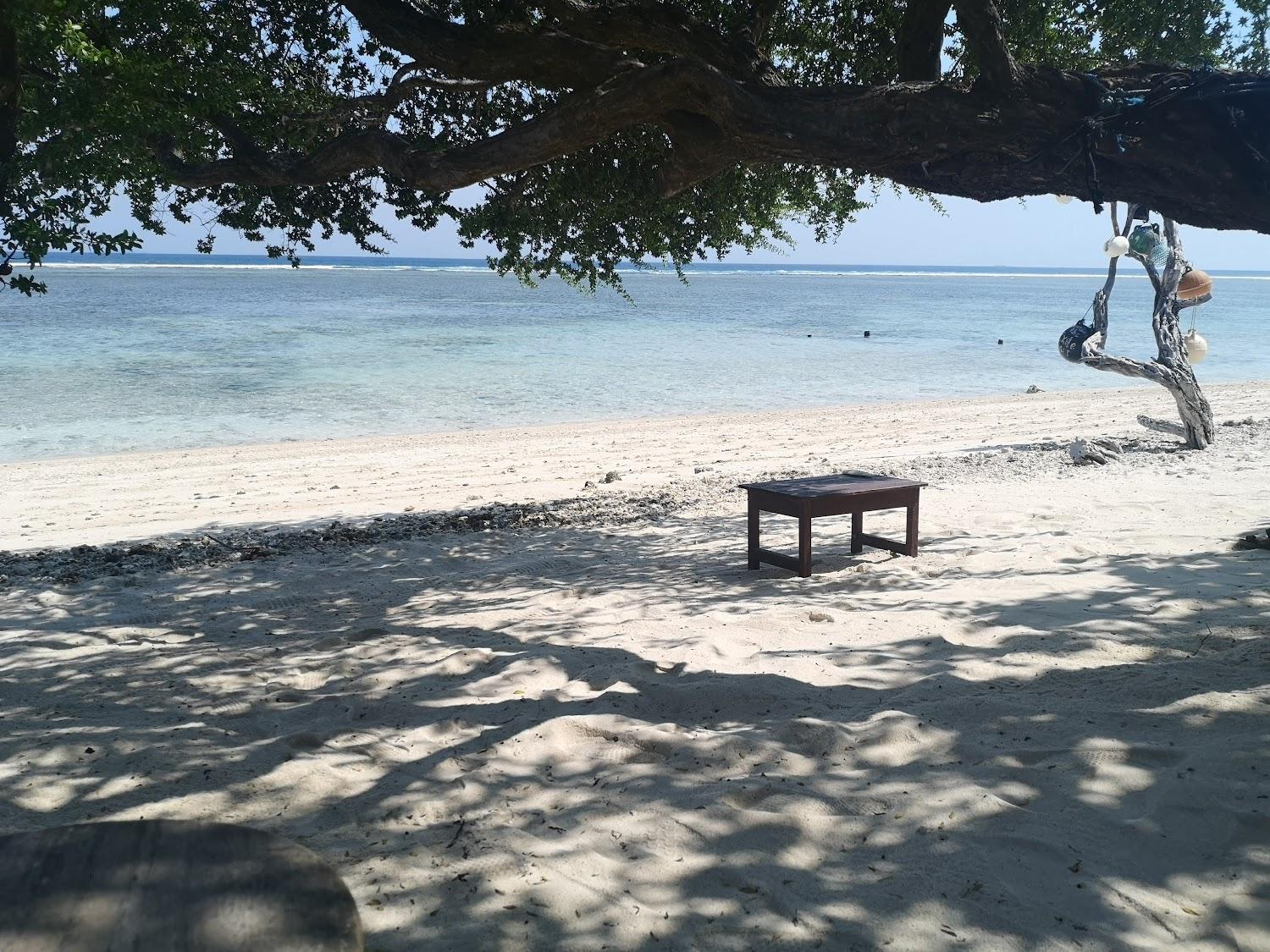 Cover Image for The Exile Gili Trawangan
