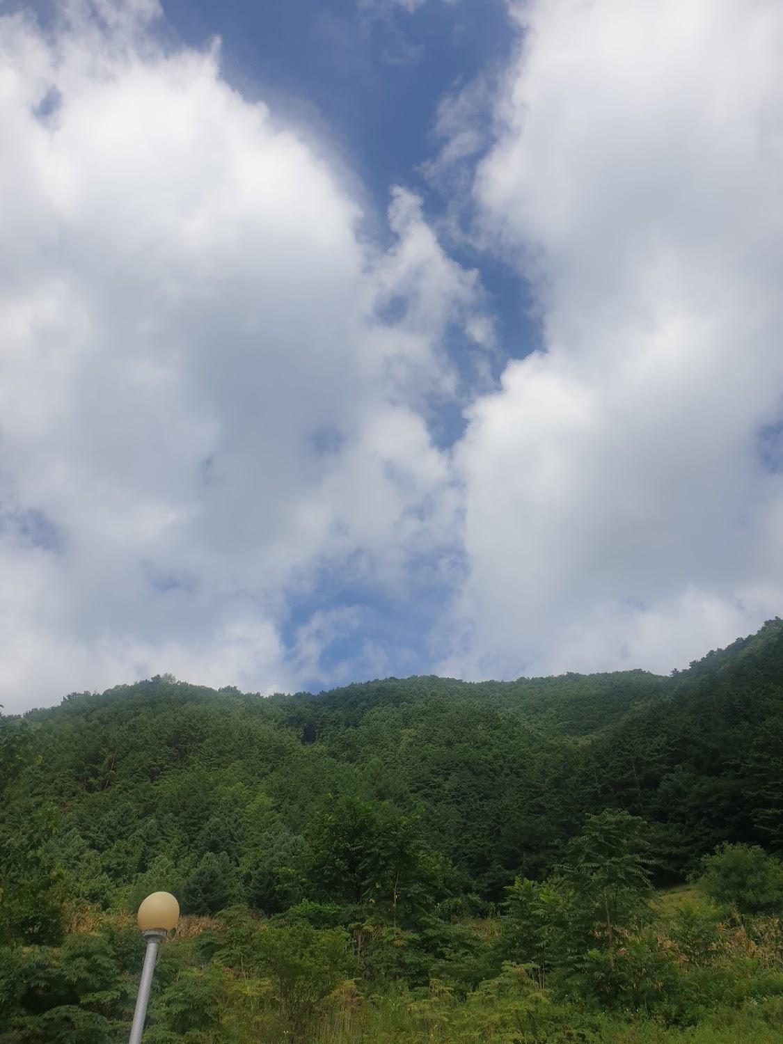 Cover Image for 산솔펜션