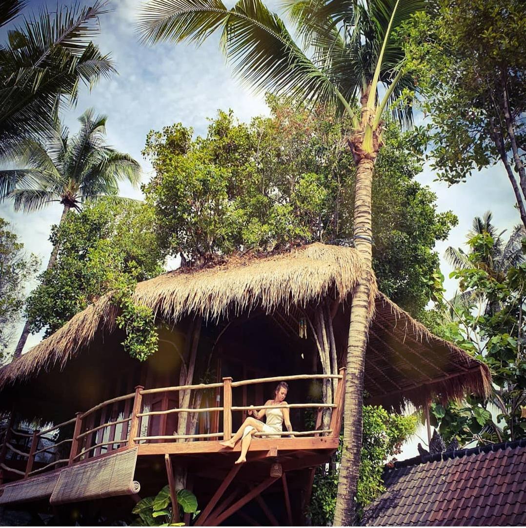 Cover Image for Wavi Eco Tree House