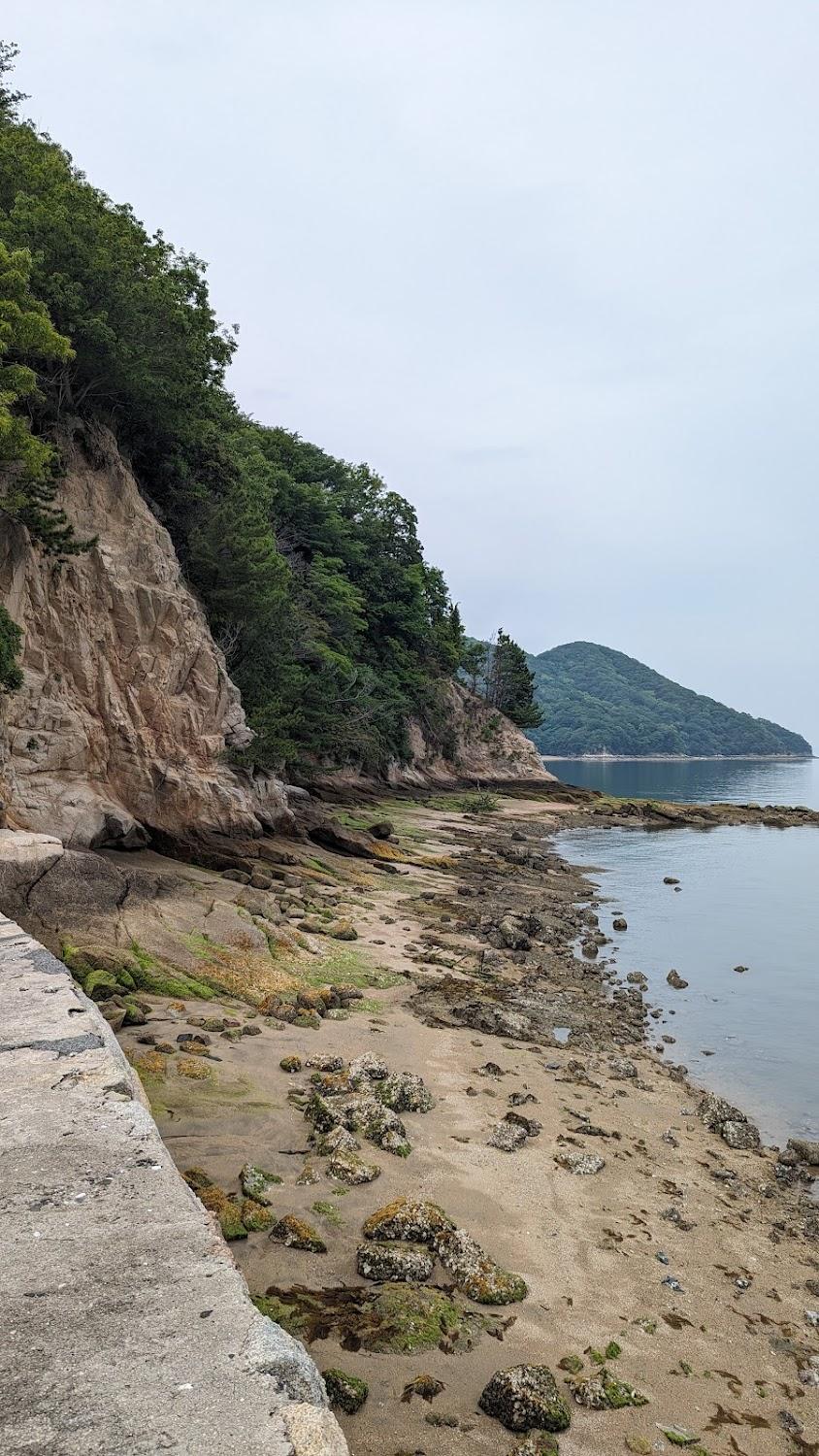 Cover Image for 体験型民宿mishigo
