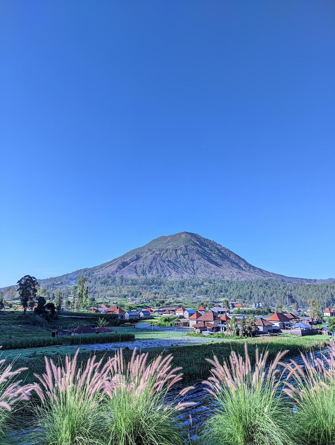 Cover Image for The Batur Elevation