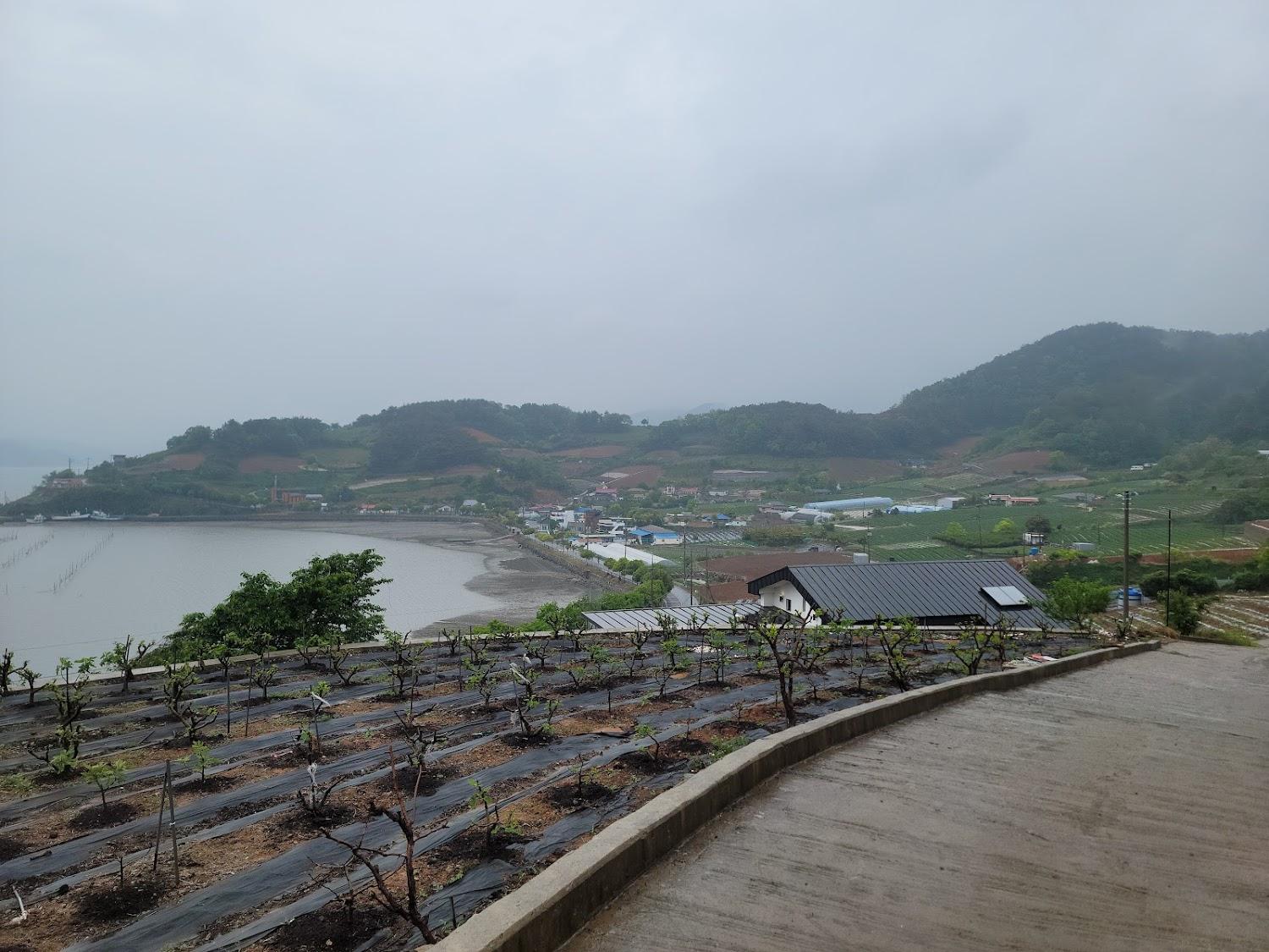 Cover Image for 가연스테이