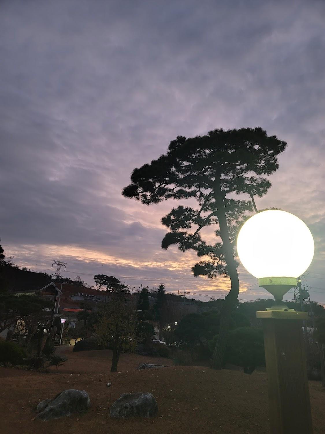 Cover Image for 왜목펜션빌