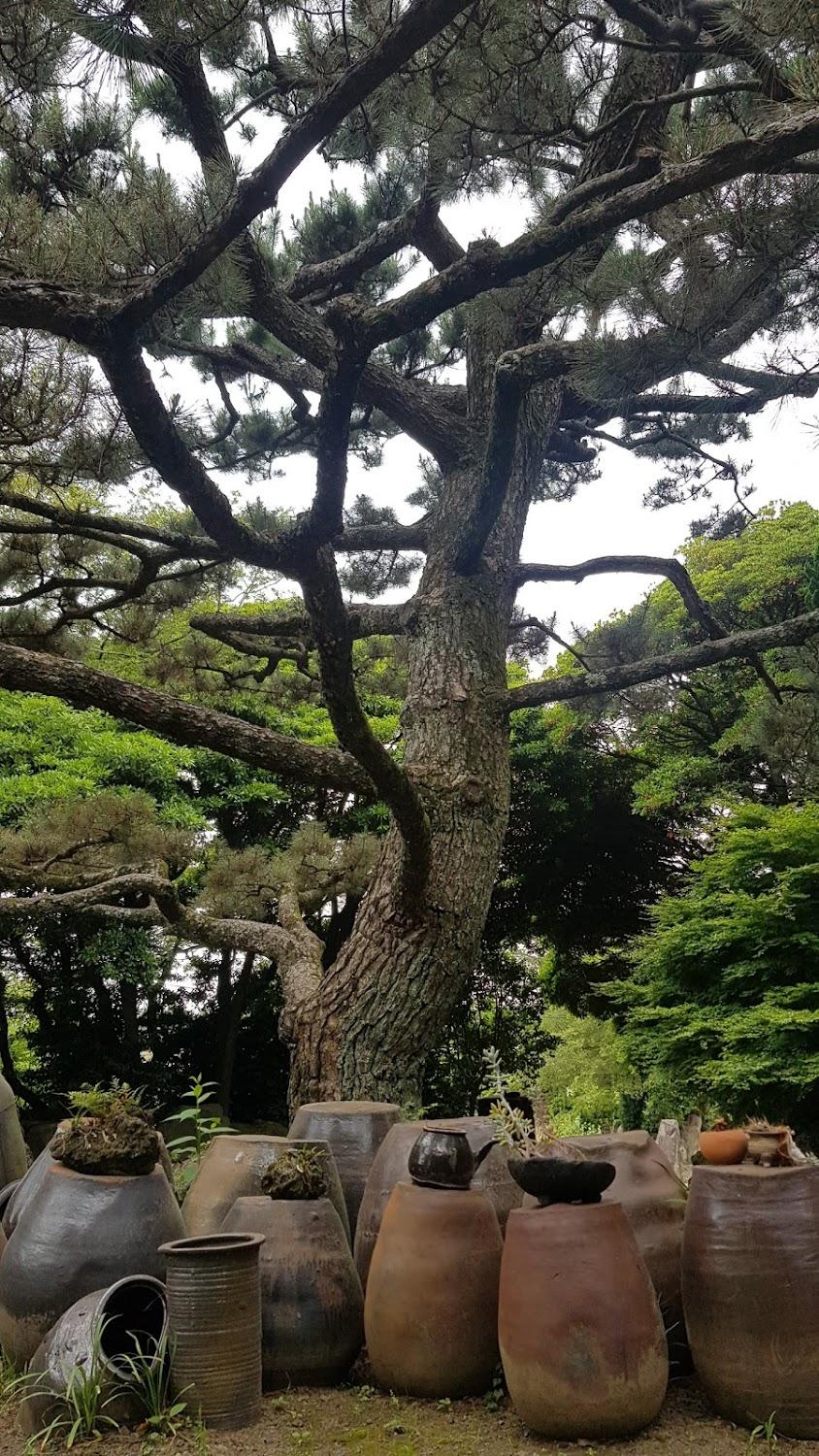 Cover Image for 자연숲민박