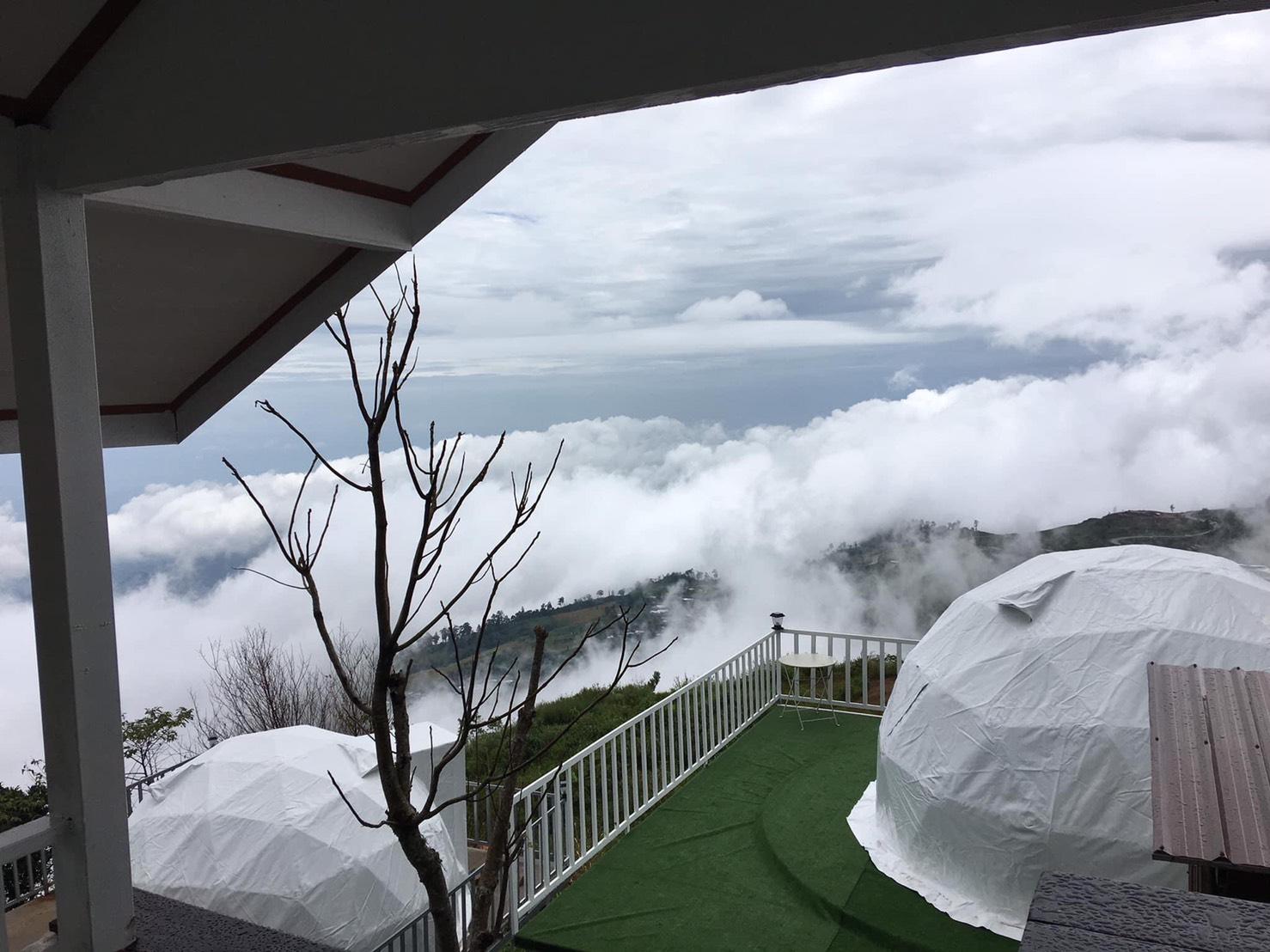 Cover Image for ผากลางหมอก ภูทับเบิก