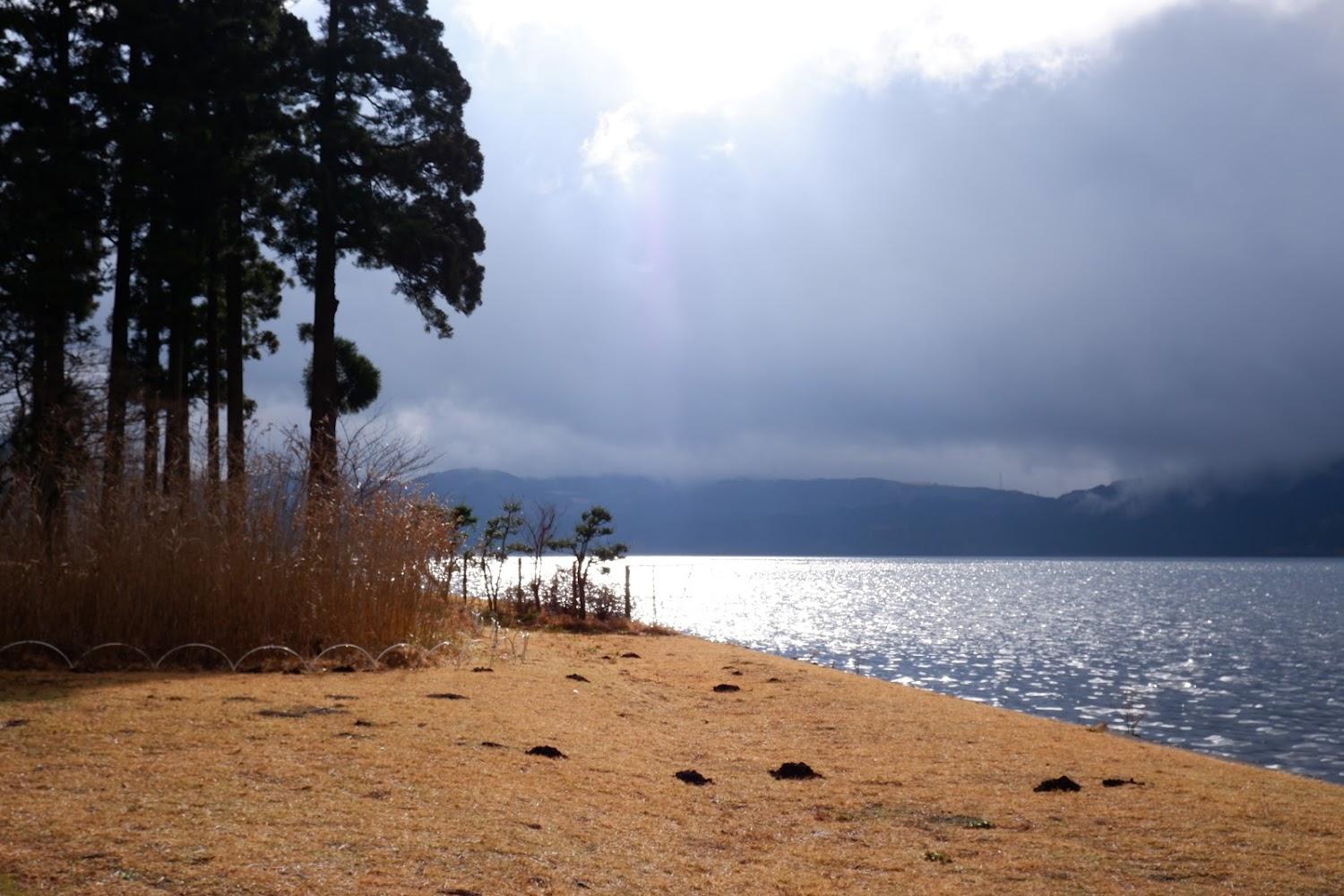 Cover Image for The Prince Hakone Ashinoko