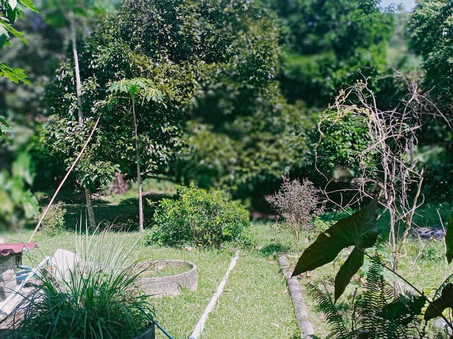 Cover Image for Koh Chang Garden Lodge