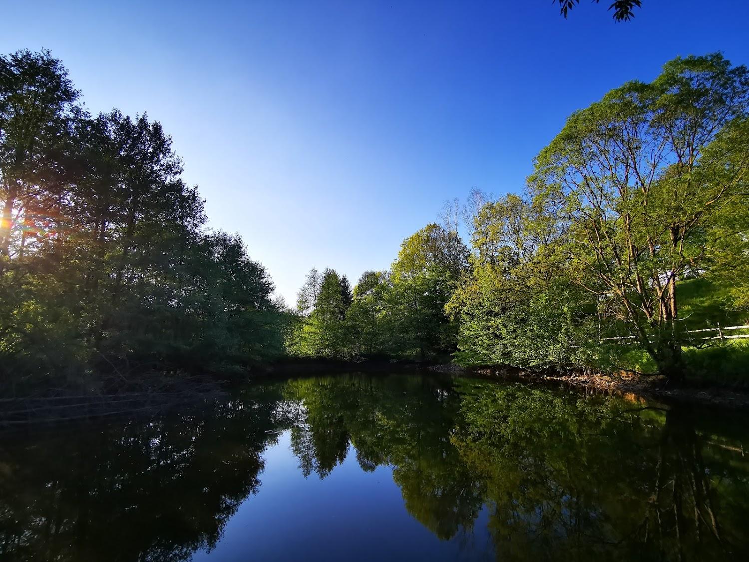 Cover Image for Camping Old Mill