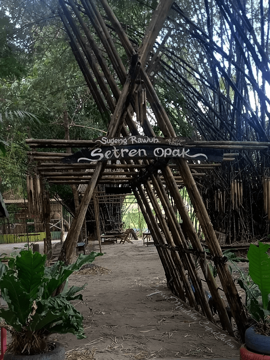 Cover Image for Setren Opak