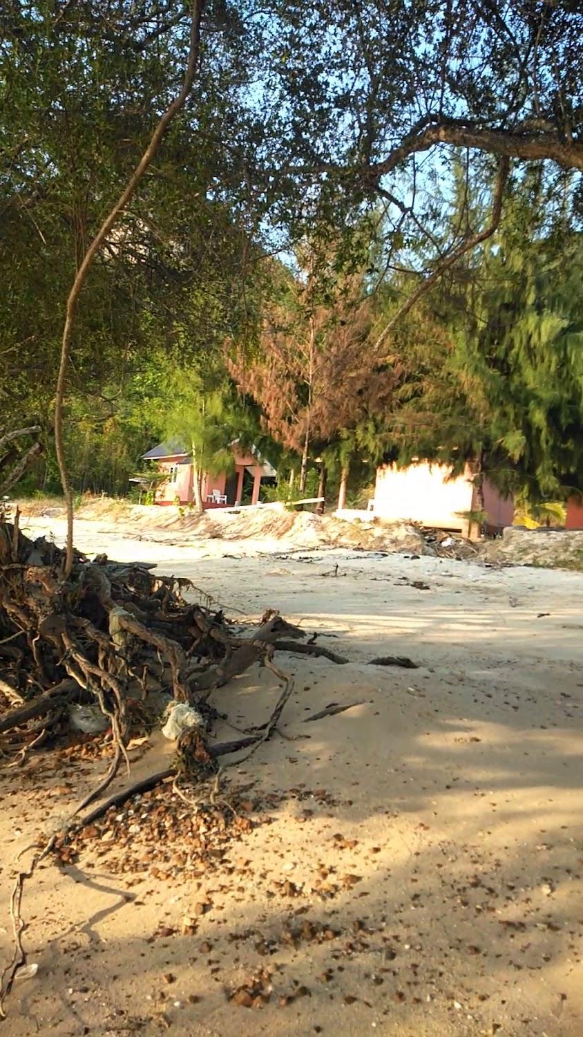 Cover Image for Punyawee home stay