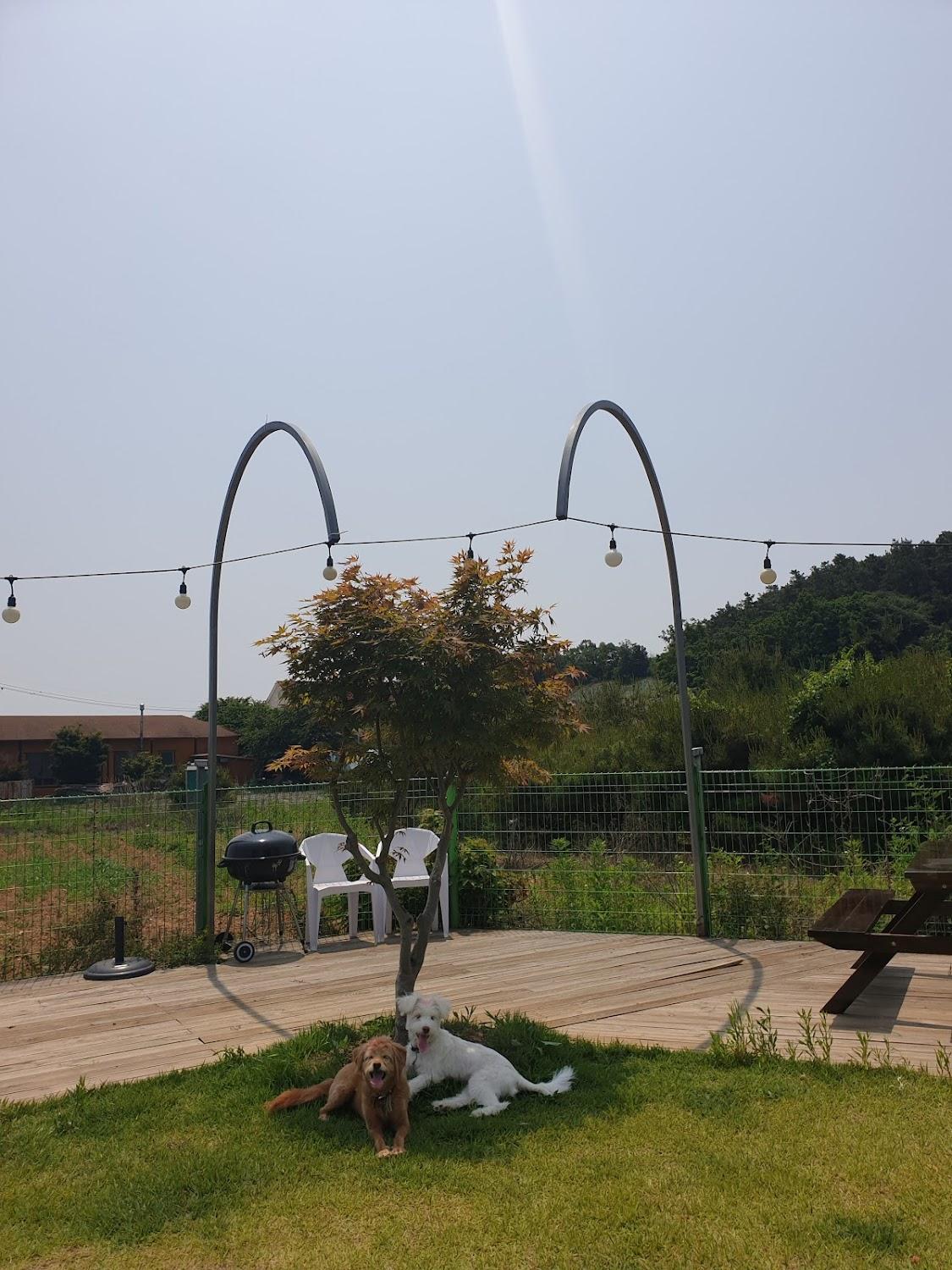 Cover Image for 위플레이독