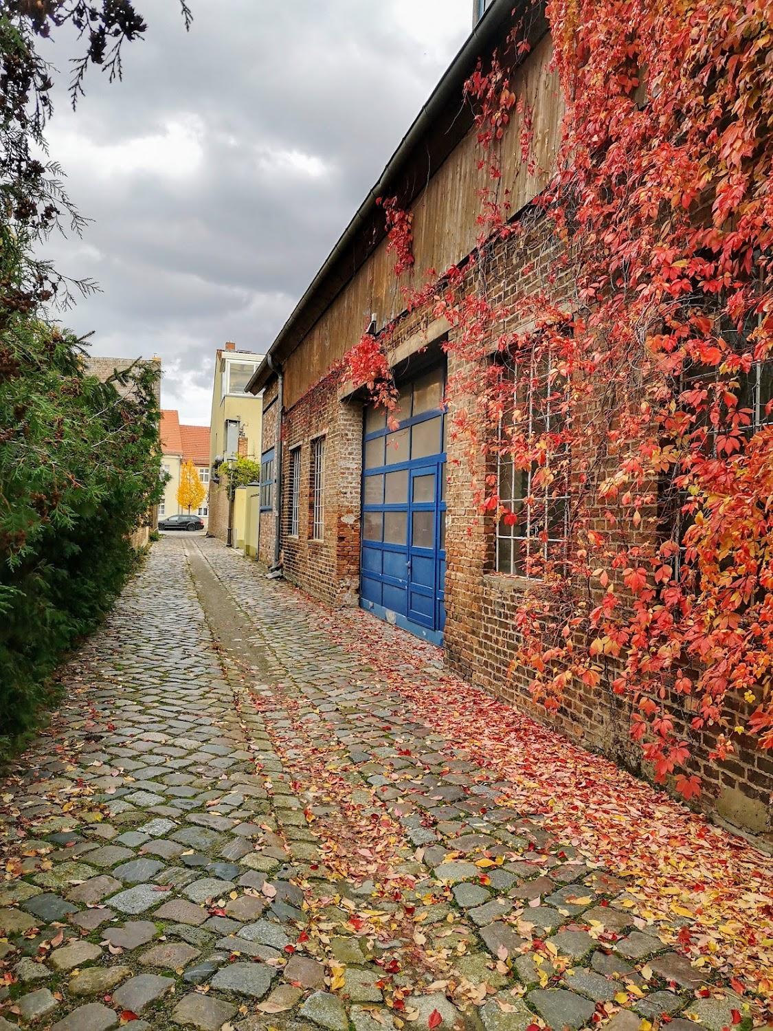 Cover Image for Pension Alte Schmiede