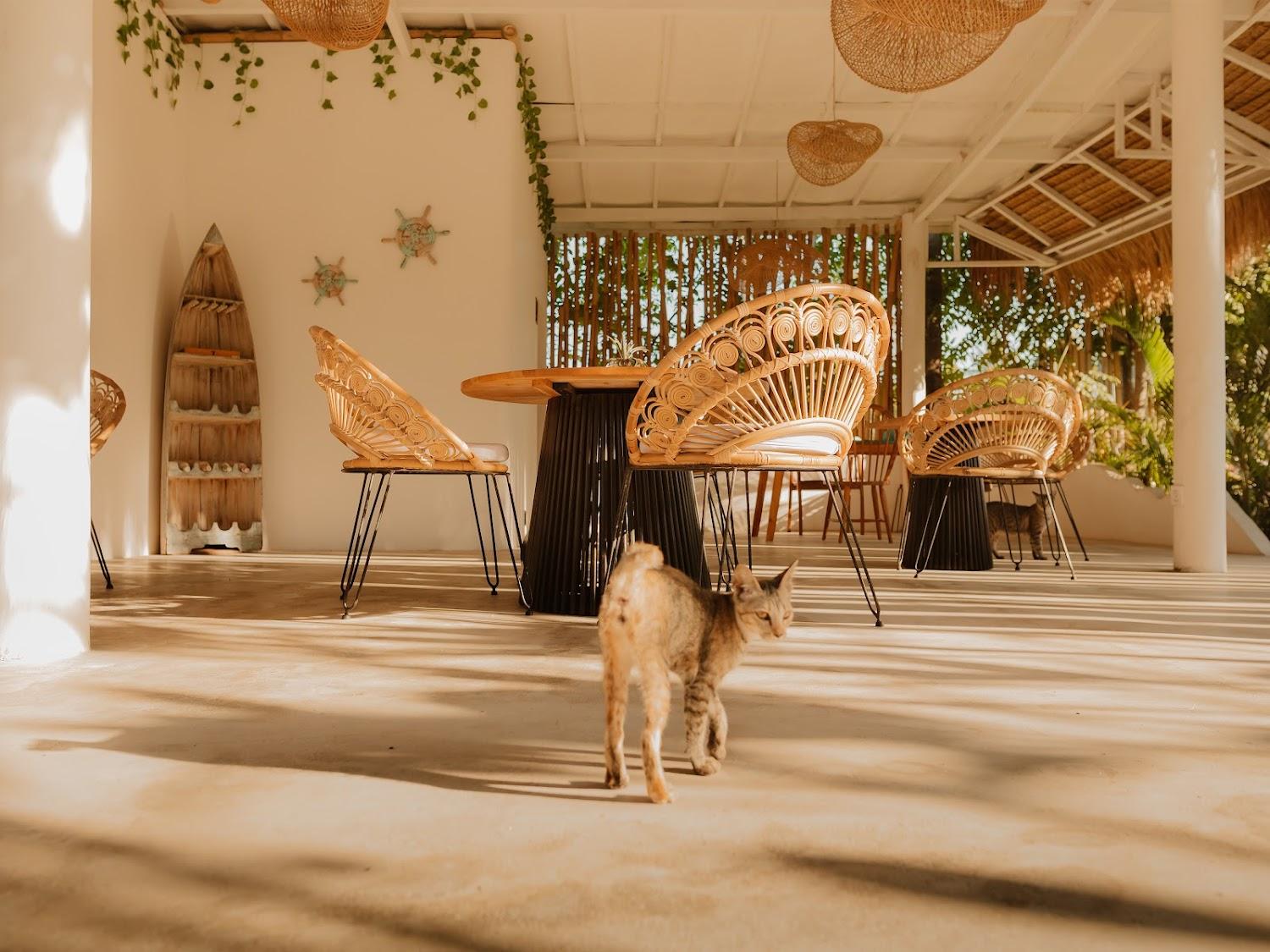 Cover Image for La Isla Bonita Gili Air