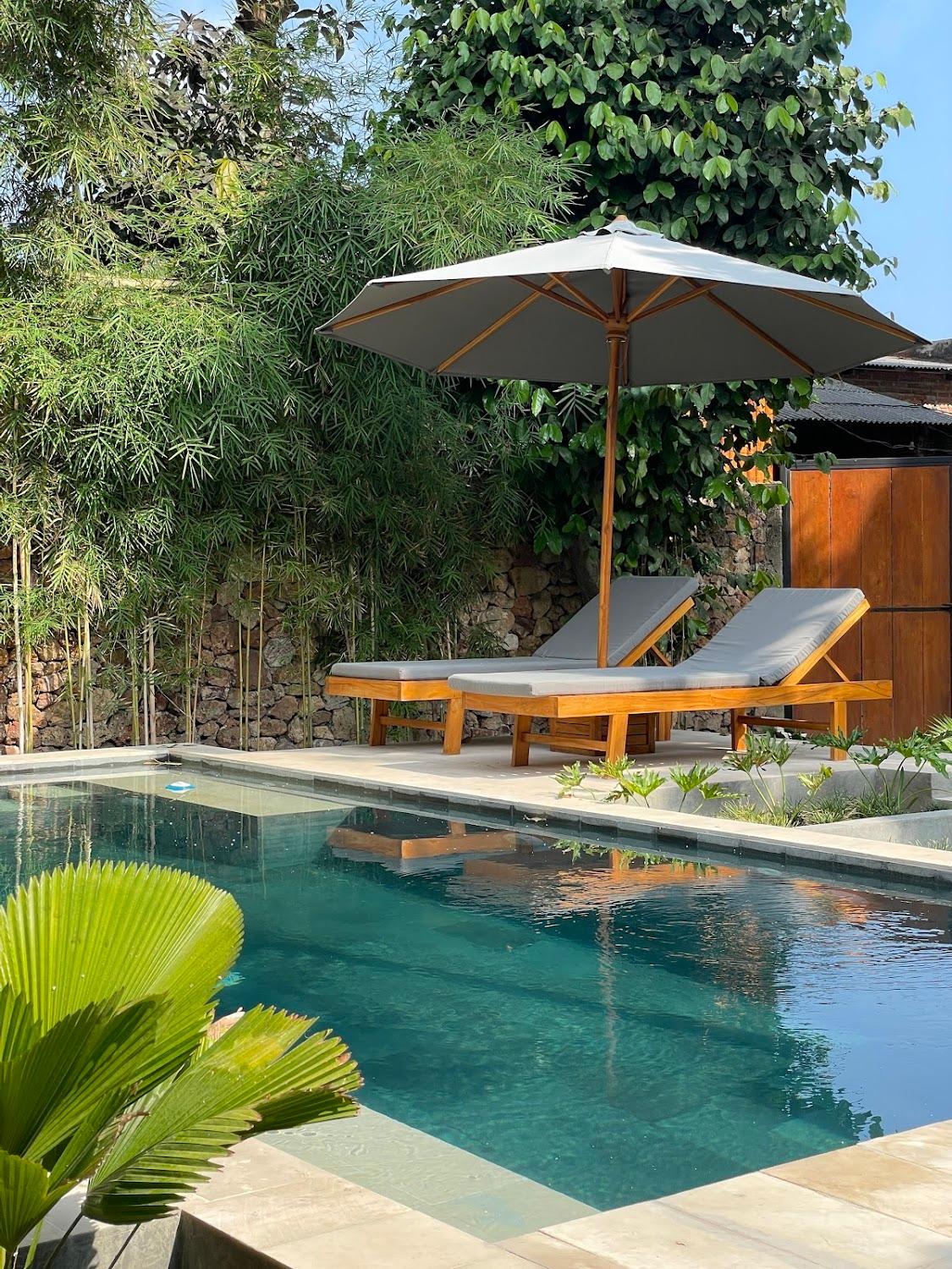 Cover Image for Dalai Tropical