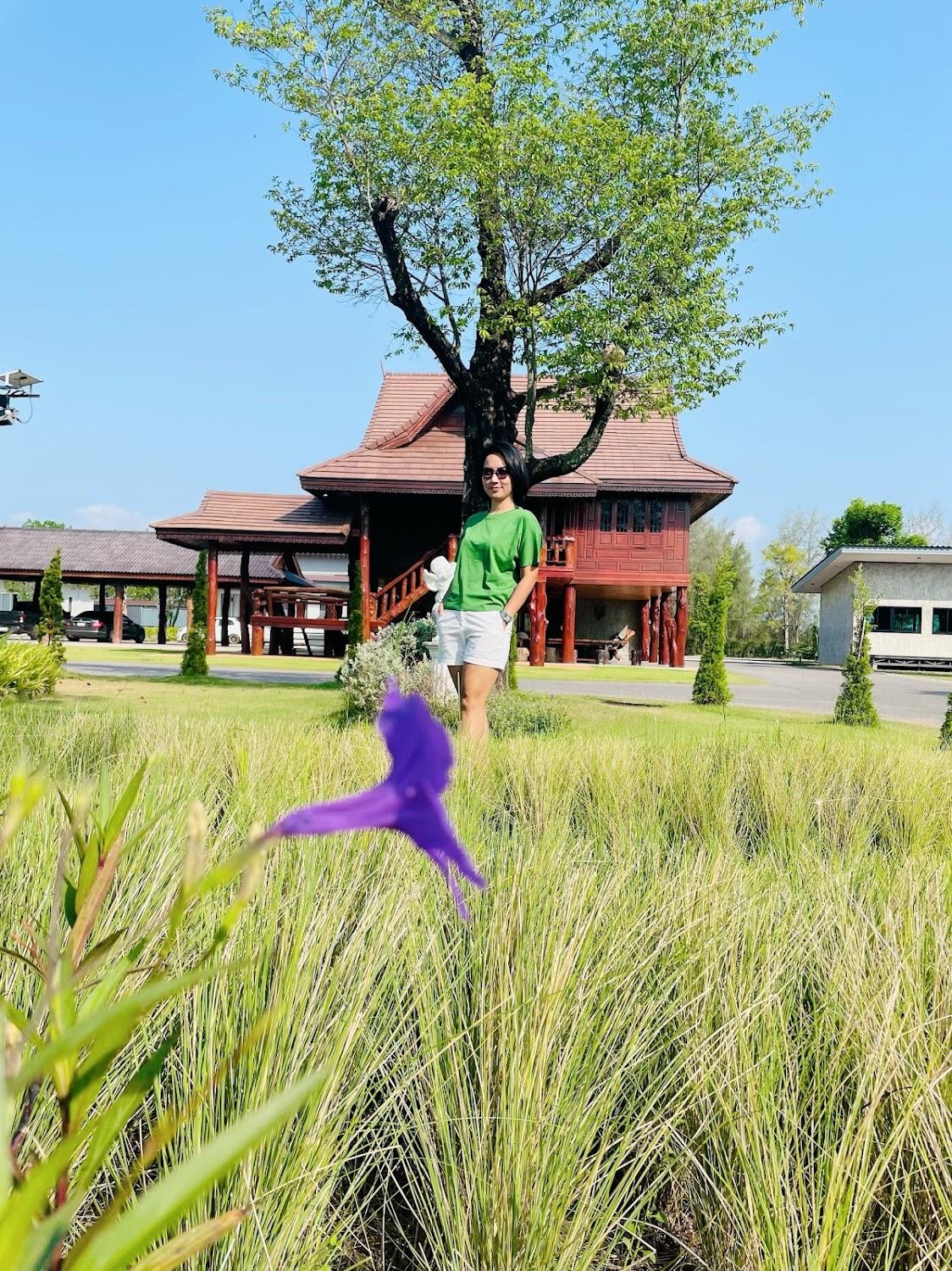 Cover Image for Pitchaya Resort
