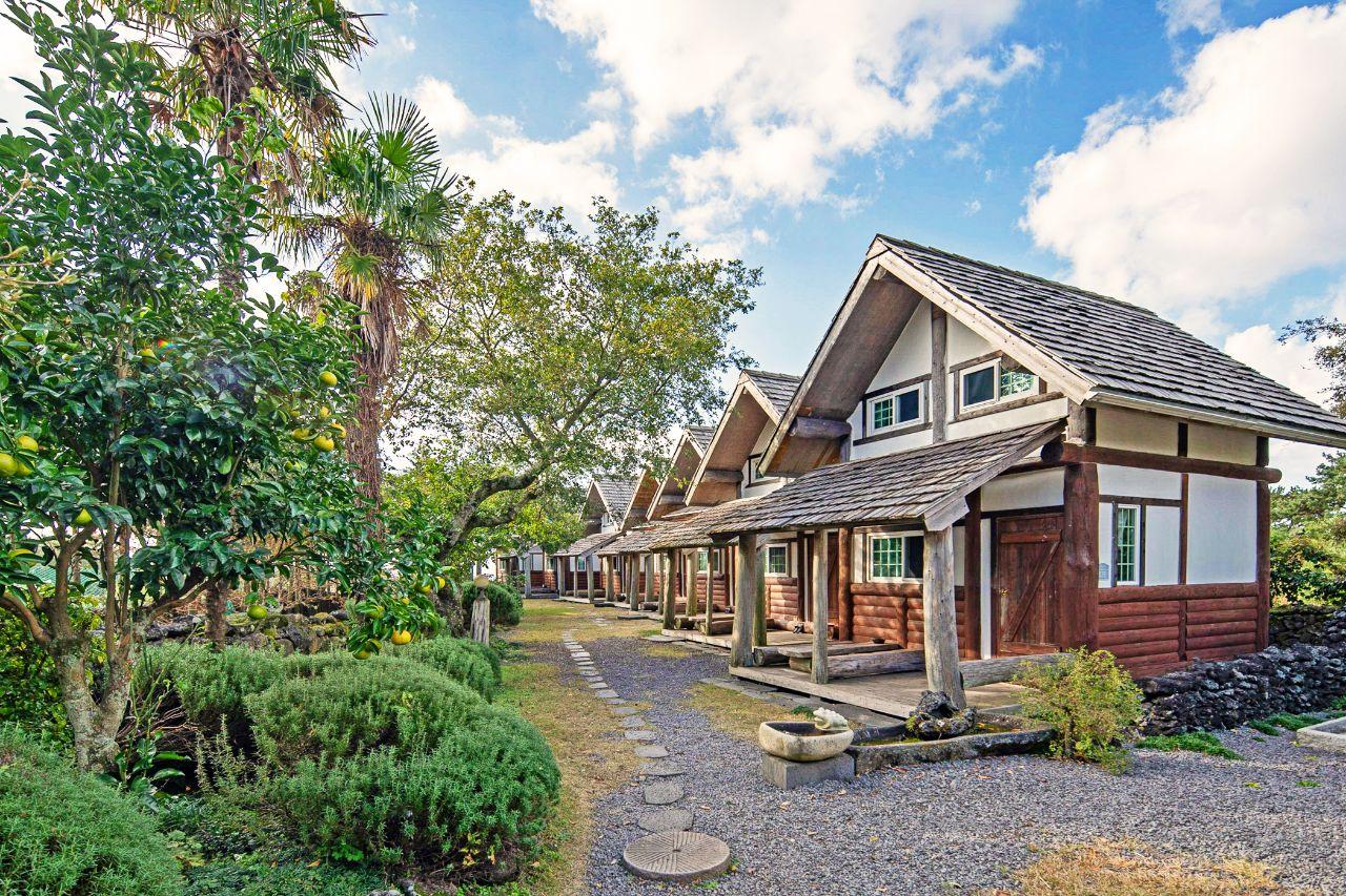 Cover Image for Log Man House Pension