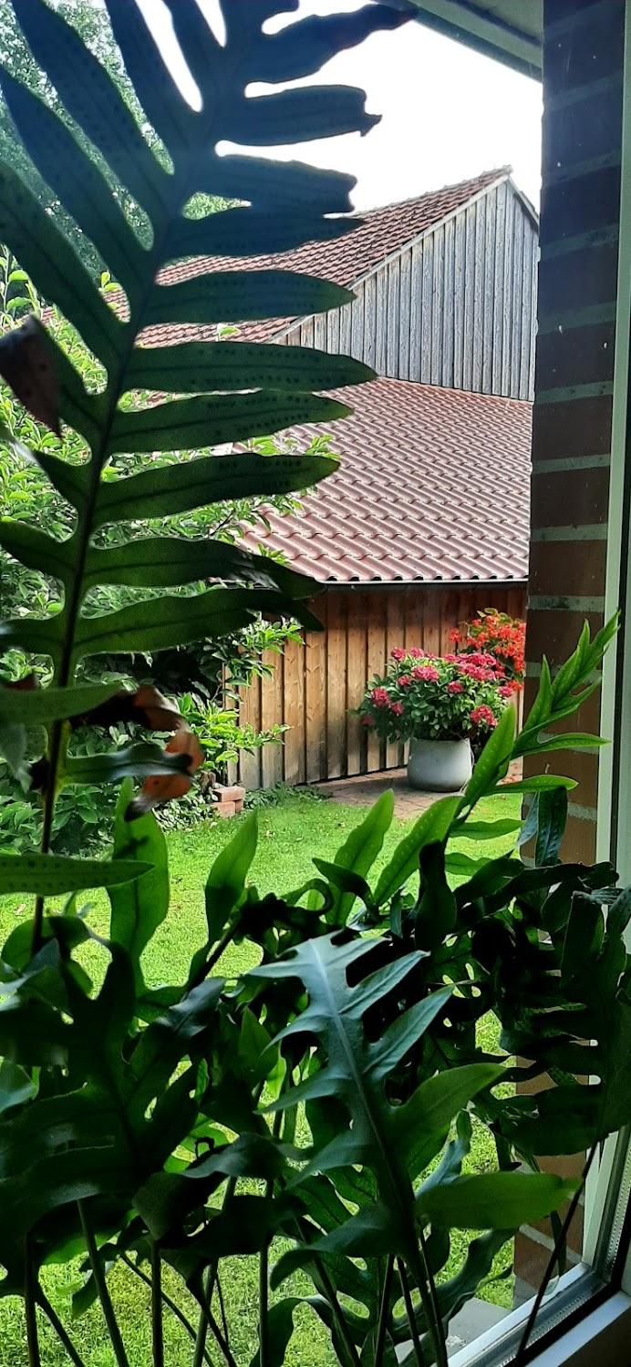 Cover Image for Hotel und Pension Budden