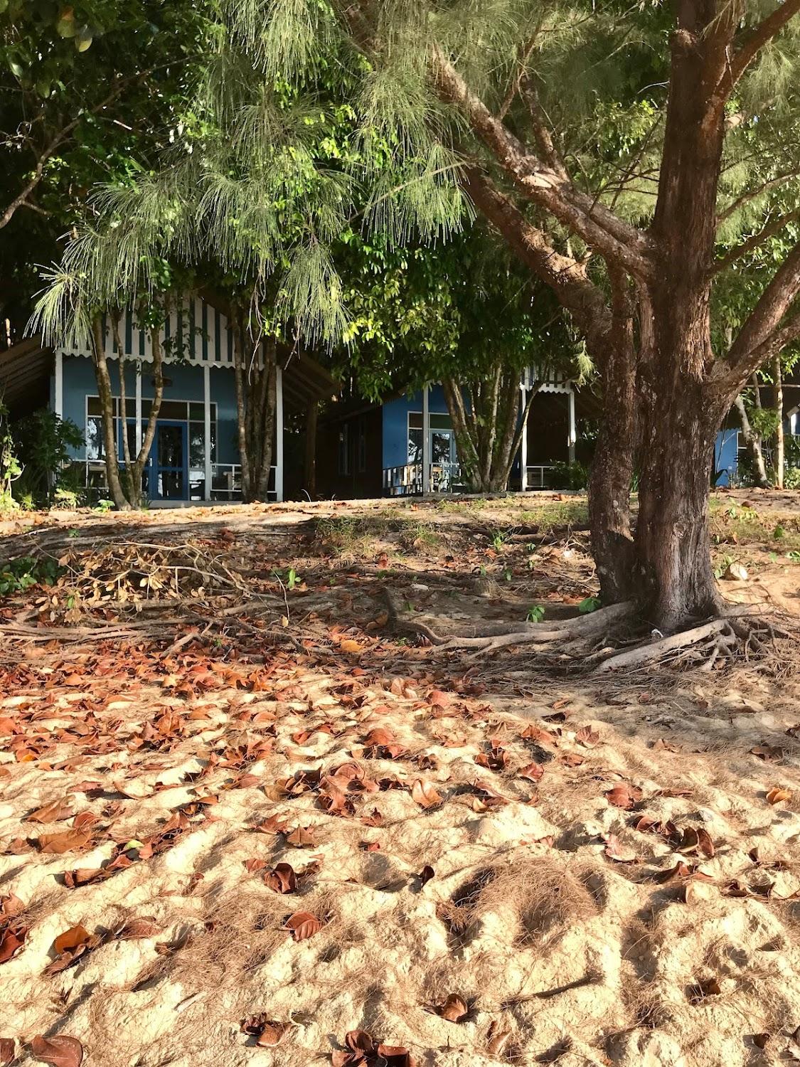 Cover Image for Heaven Beach Resort & Art