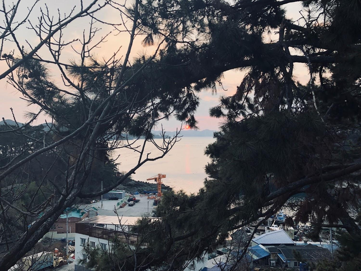Cover Image for 쉐이리펜션