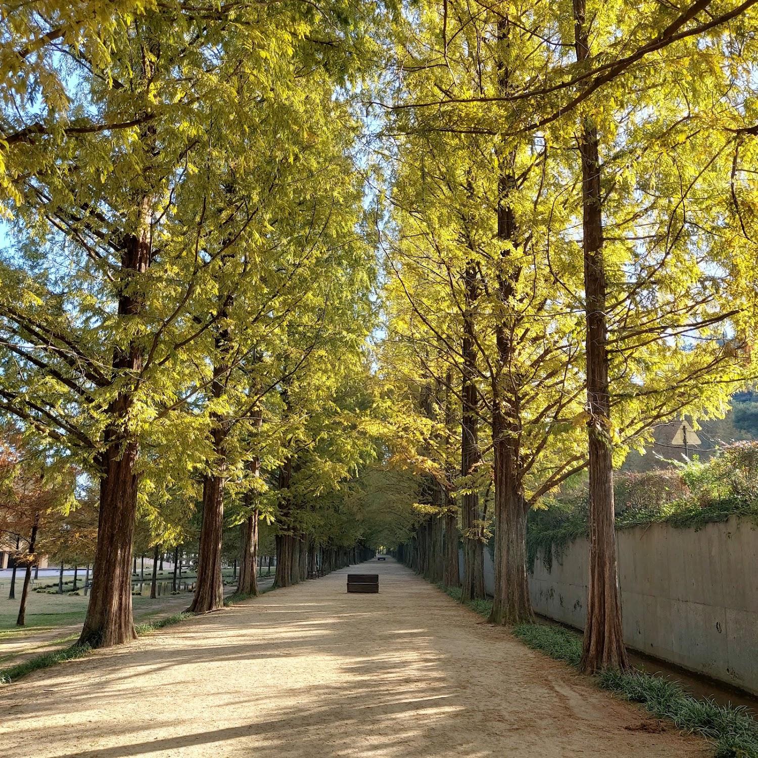 Cover Image for 호텔 드몽드