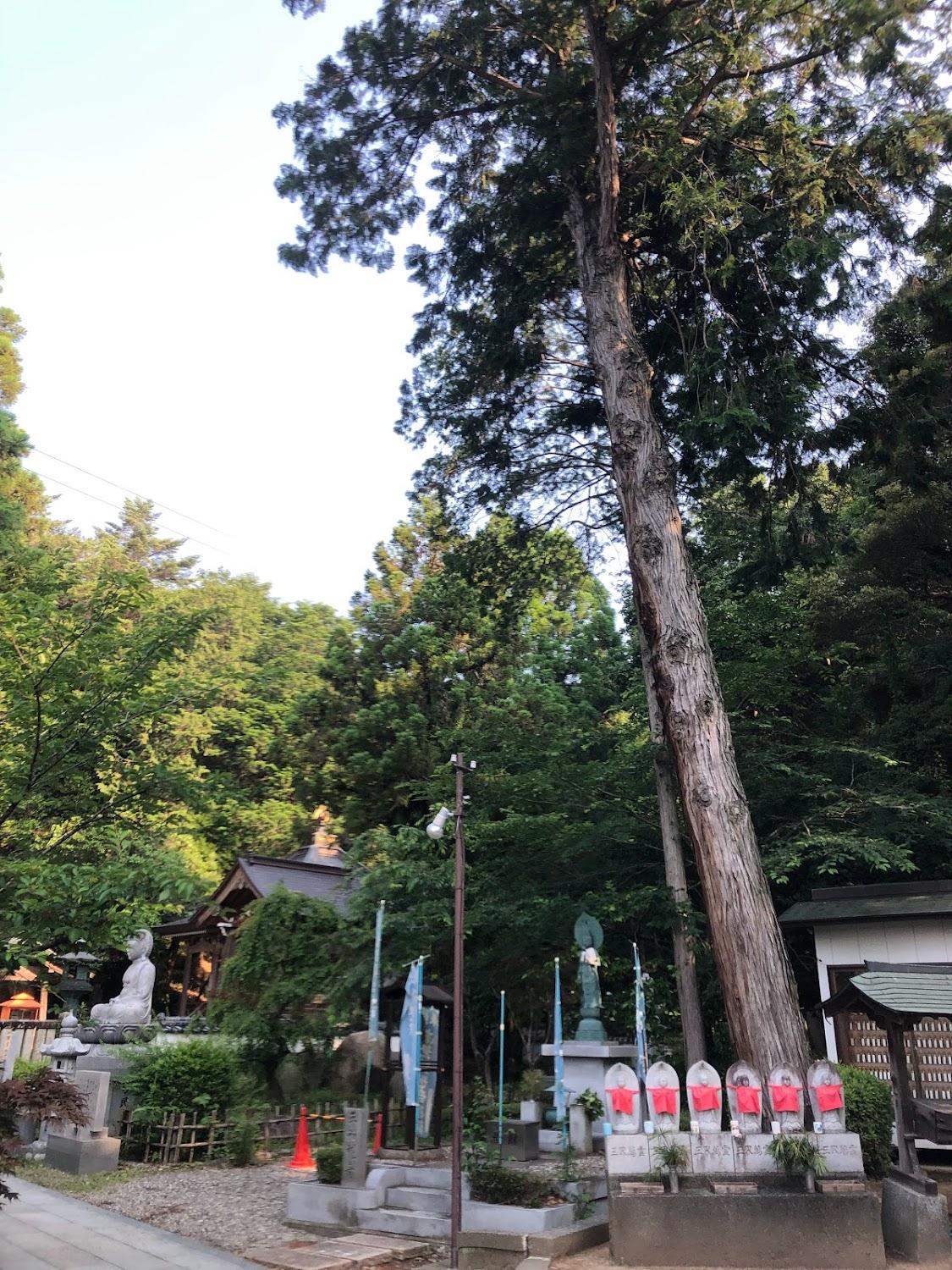 Cover Image for Morimotoya