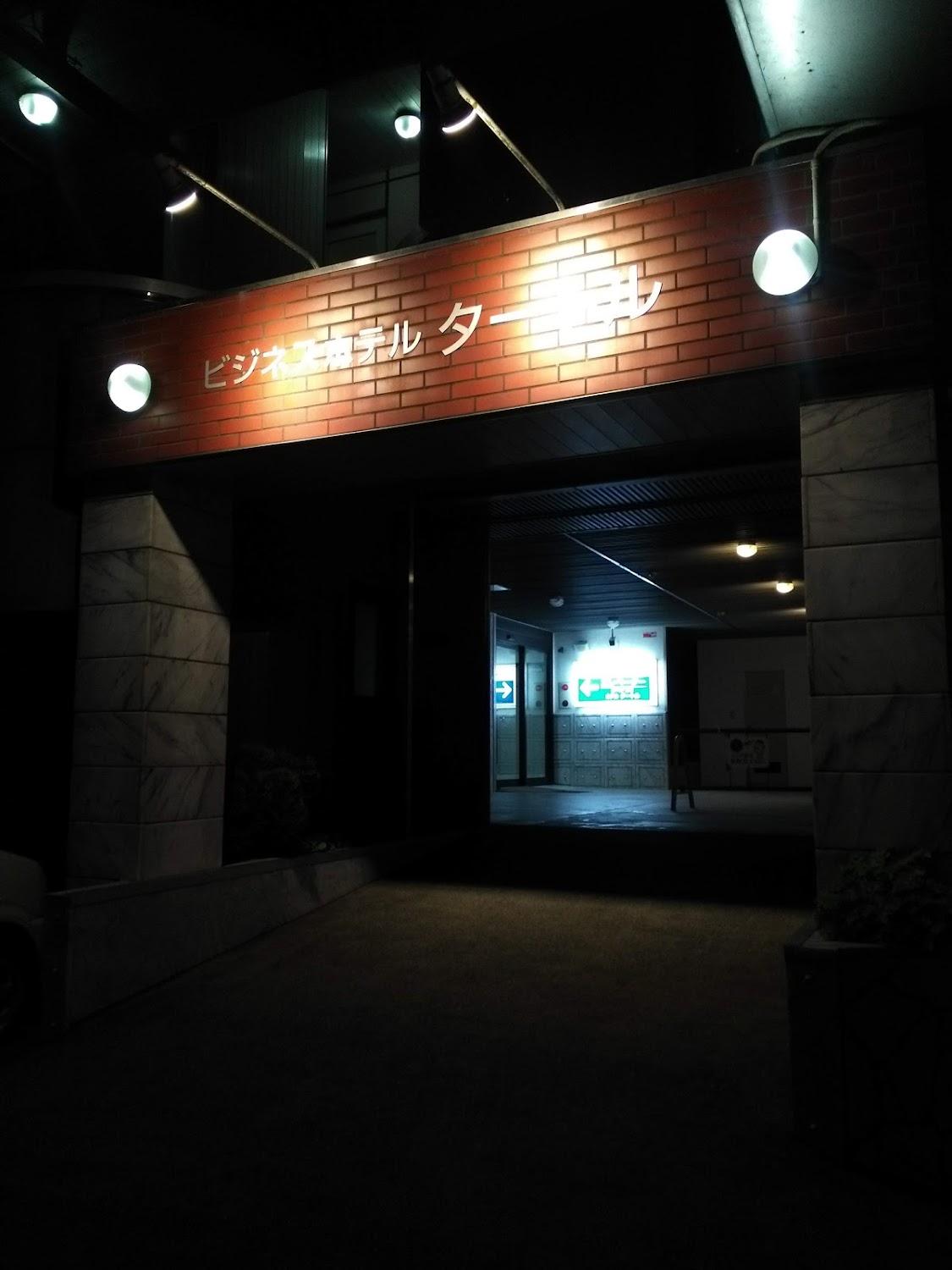 Cover Image for Business Hotel Turtle