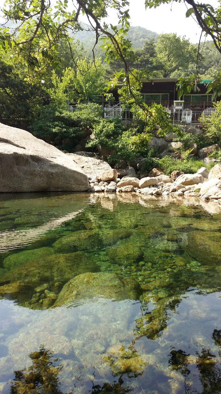 Cover Image for 섬진강어울펜션