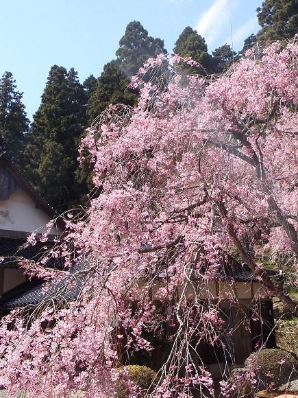 Cover Image for やどまる美祢