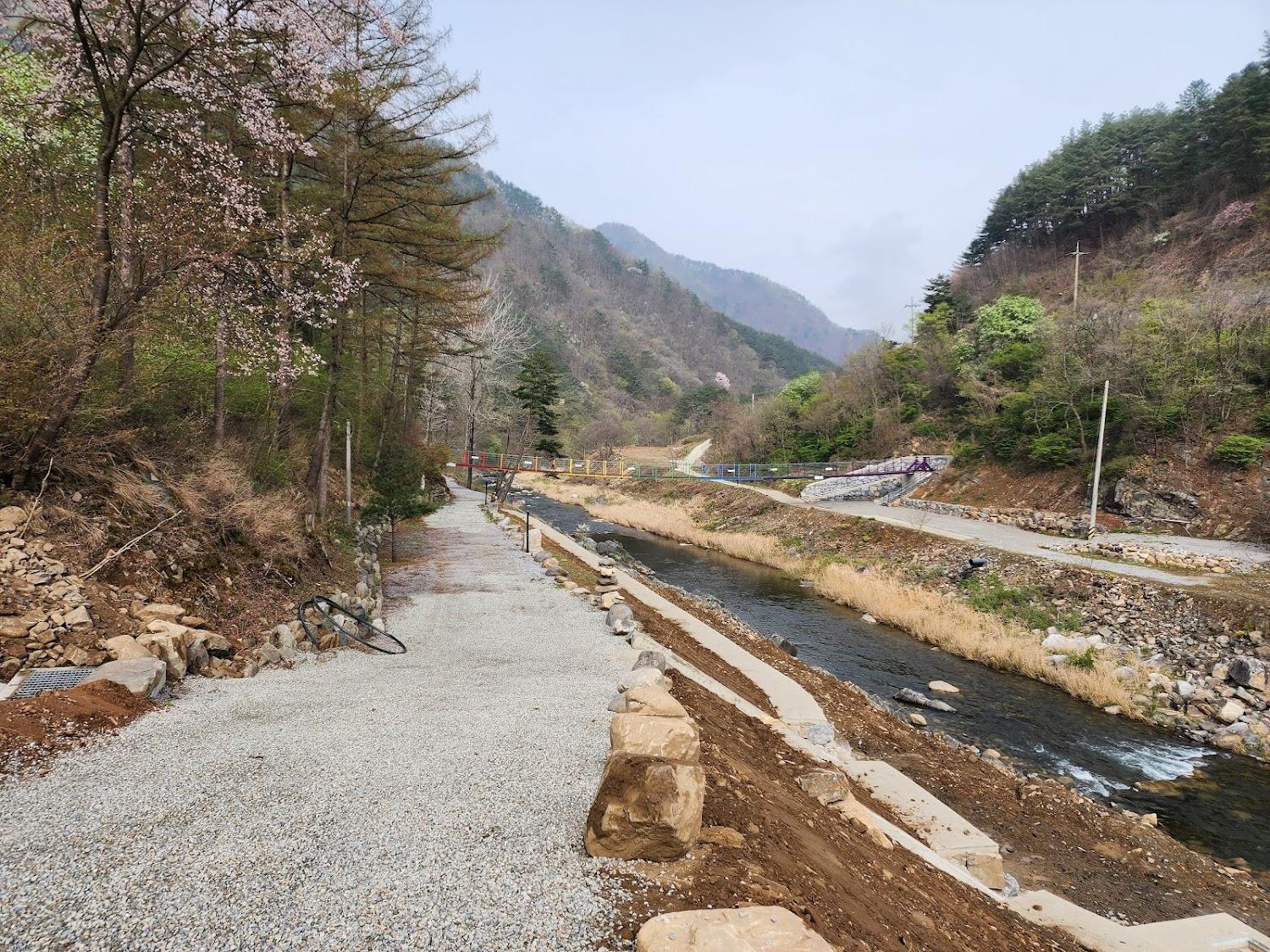 Cover Image for 골든파인펜션